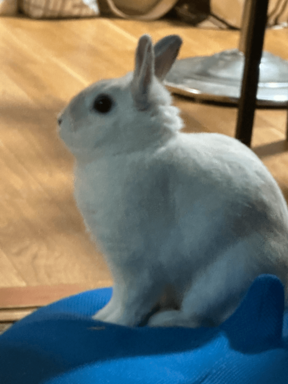 今日も元気に出勤してます✨