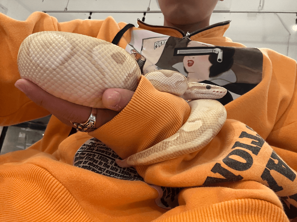 今日も出勤してます