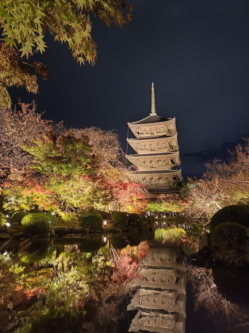 사진 일기용 사진